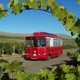 Fruit of the Vine Tours