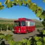 Fruit of the Vine Tours