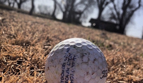 Butler Park Pitch & Putt - Austin, TX