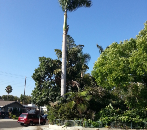 Ghai's Tree Services & Landscaping - Costa Mesa, CA