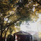 Common Grounds