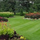 Sporting Turfs - Landscaping & Lawn Services
