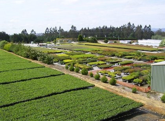 Woodlea Nursery Pty Ltd - Springfield, TAS