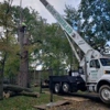 Timberland Tree Service, LLC gallery