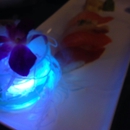 Mitsuba Hibachi & Sushi Restaurant - Sushi Bars