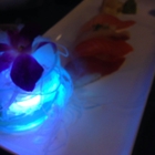 Mitsuba Hibachi & Sushi Restaurant