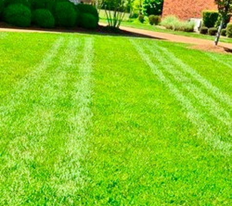 Shaun and Shawna’s Painting & Lawncare - Rock Island, TN. Lawn Cutting