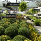 Garden Center at The Home Depot