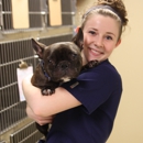 Flanary  Veterinary Clinic KENTUCKY - Pet Boarding & Kennels
