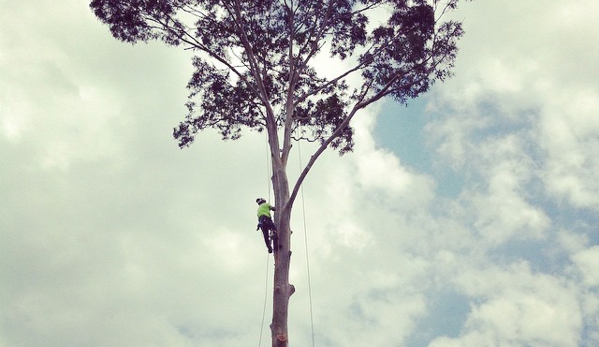 Horizon Total Tree Service - Tomakin, NSW