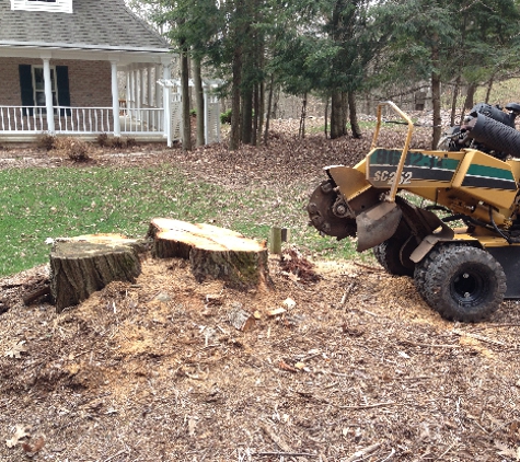 Affordable Stump Grinding LLC