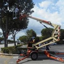 Tropical Tree Trimming and landscaping - Arborists
