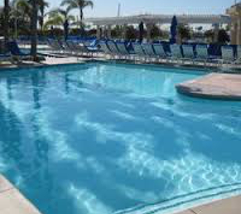 Monkey rock pool service - Palm Harbor, FL