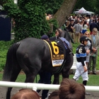 Belmont Park Race Track