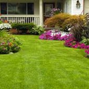 Woods Landscaping Services LLC - Lawn Maintenance