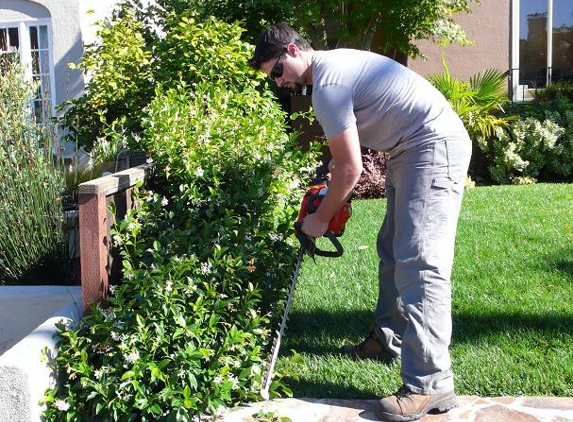 Sustainable Landscape And Gardening - San Mateo, CA