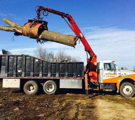 Maximum Tree Service & Landscaping - New London, MN