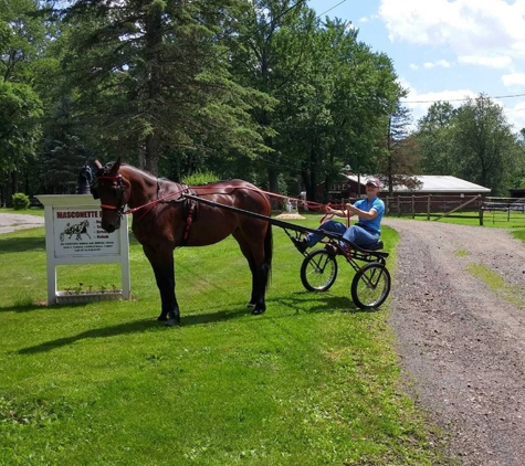 Masconette Farm - Horse Boarding - Carriage Driving - East Longmeadow, MA