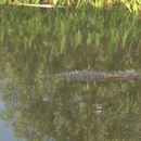 Lake Woodruff National Wildlife Refuge - Hunting & Fishing Preserves