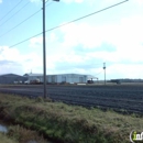 Picolata Produce Farm Inc - Farms