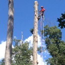Gordon  Pro Tree Service - Excavation Contractors