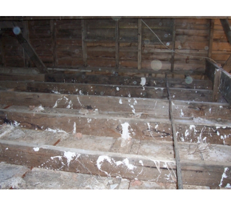 Insulation Removals - Woori Yallock, VIC