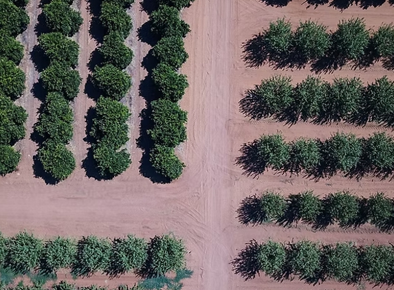 Southern Cross Farms - Mildura, VIC