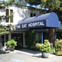 The Cat Hospital