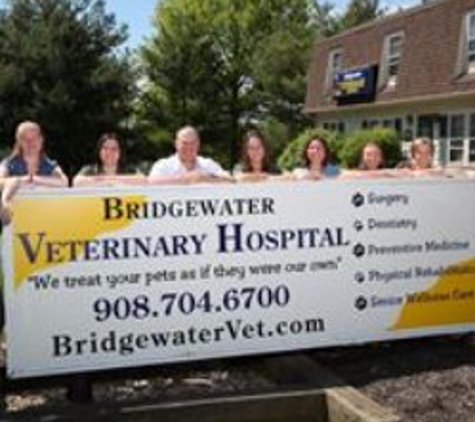 Bridgewater Veterinary Hospital - Bridgewater, NJ