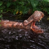 Jungle Cruise gallery