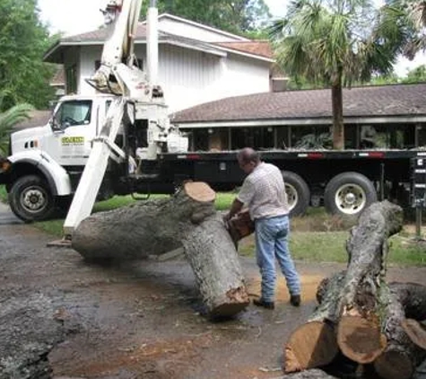 McClain's Tree Experts