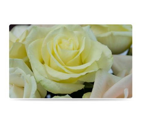Bloomers Florist and Gifts - Pialba, QLD