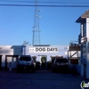 Dog Days gallery