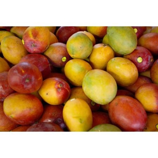 Williams Premium Wholesale - East Maitland, NSW