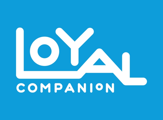 Loyal Companion - Falls Church, VA