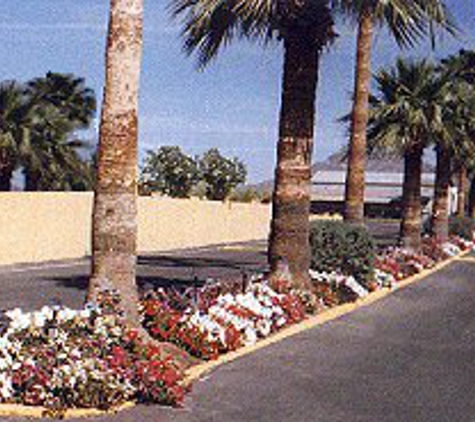 Shady Rest Mobile Home and RV Community - Apache Junction, AZ