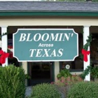 Bloomin' Across Texas
