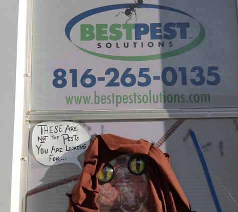 Best Pest Solution - Belton, MO