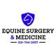 Equine Surgery and Medicine