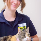 Gallery Image Number 5