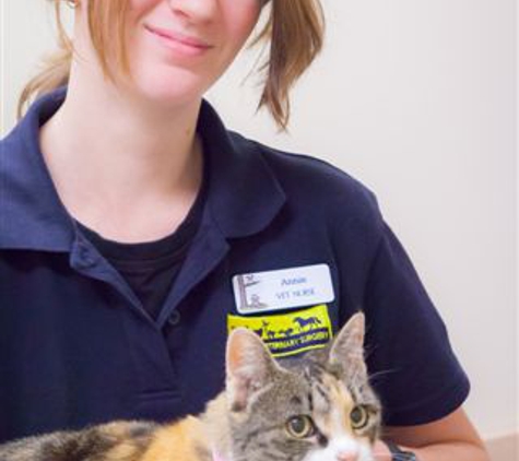 Seymour Veterinary Surgery - Seymour, VIC