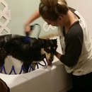 Maggie Mae's Pampered Pups Grooming - Pet Grooming