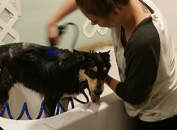 Maggie Mae's Pampered Pups Grooming - Salt Lake City, UT