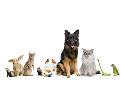 4 Paws Veterinarians - Kirwan, QLD