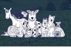 Sarina Veterinary Surgery - Veterinary Surgeons