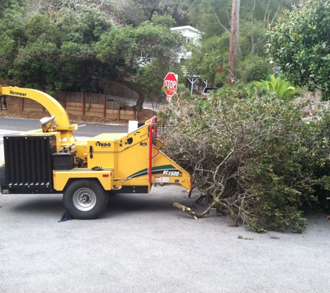 West  Valley Tree Care - Sunnyvale, CA