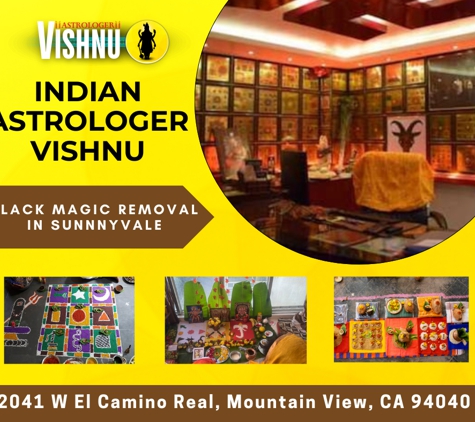 Indian astrologer vishnu - Mountain View, CA