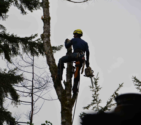 Thunderbird Treescapes - Longbranch, WA