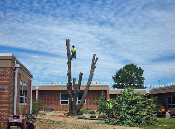 Out On A Limb Tree Care, Inc - Dover, PA