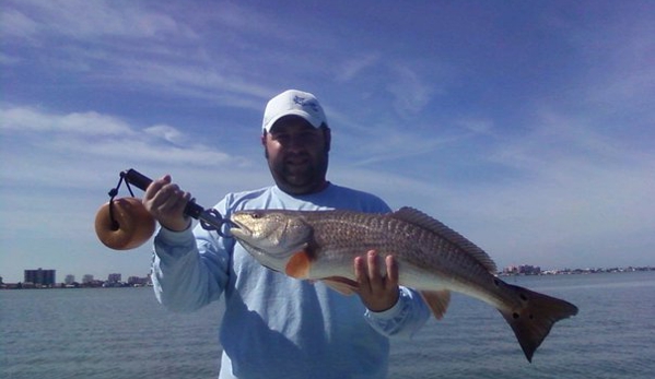 Tampa Bay Fishing Charters - Tampa, FL